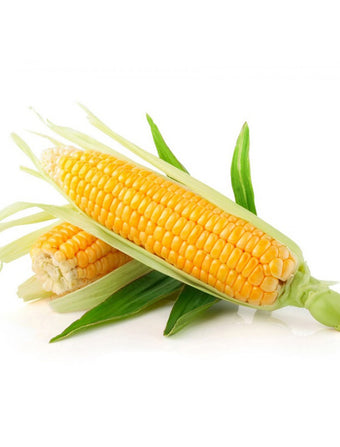 corn